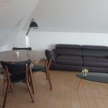 Orleans Appartement 2 Chambres Avec Parking Buitenkant foto